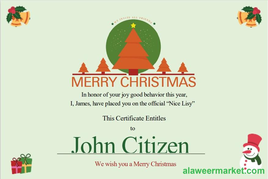 USA Christmas Gift cert